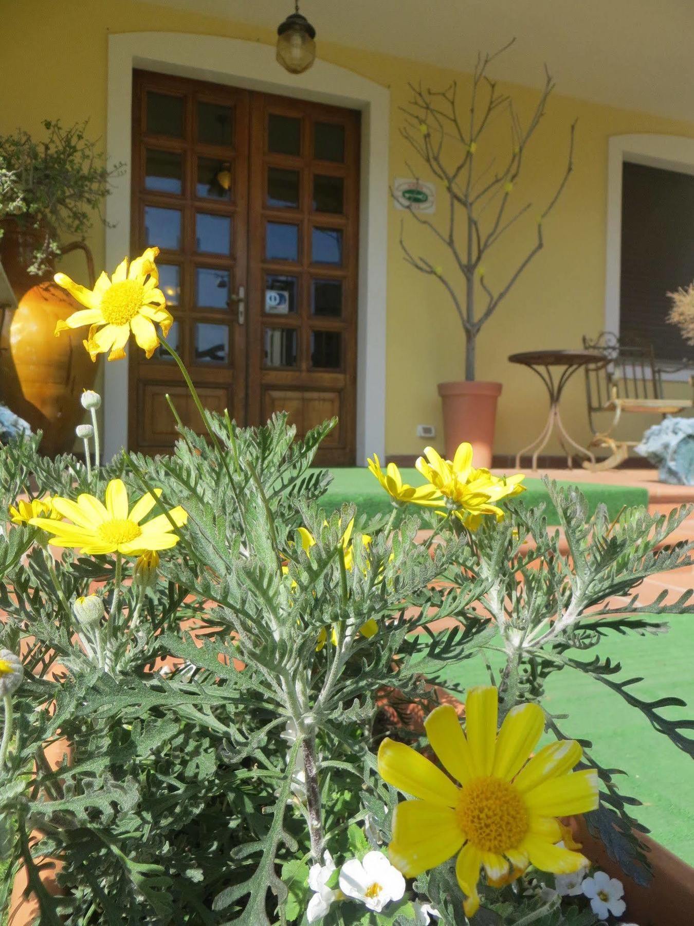 Hotel Girasole Civitanova Marche Esterno foto